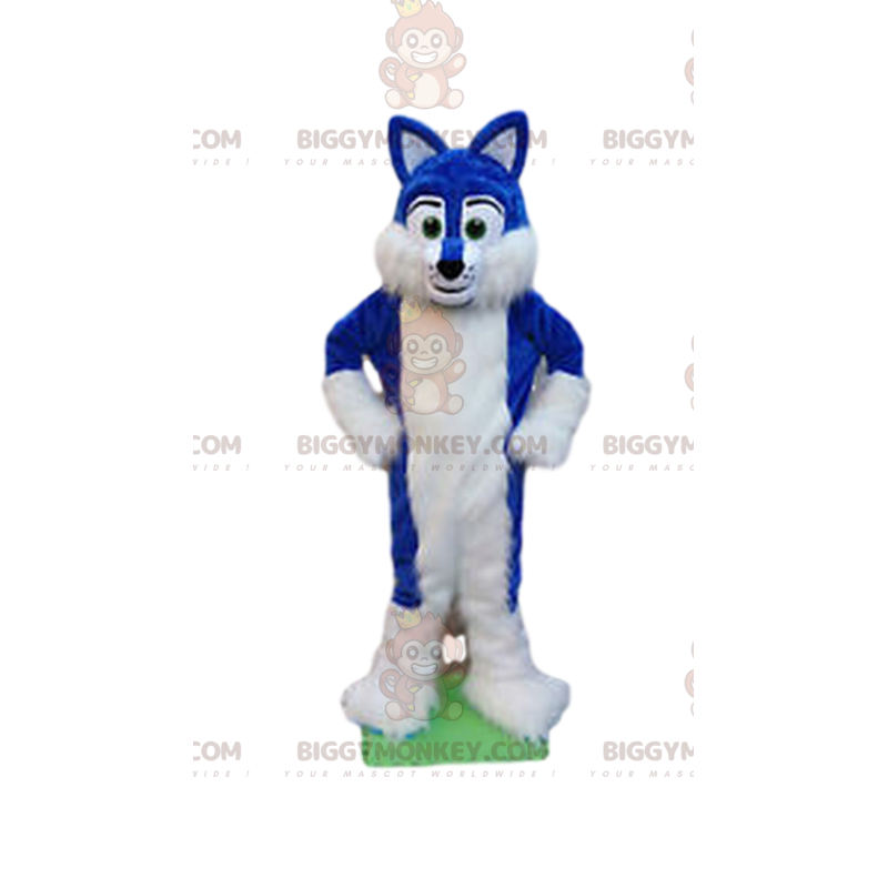 Fato de mascote BIGGYMONKEY™ cão azul e branco, disfarce de cão