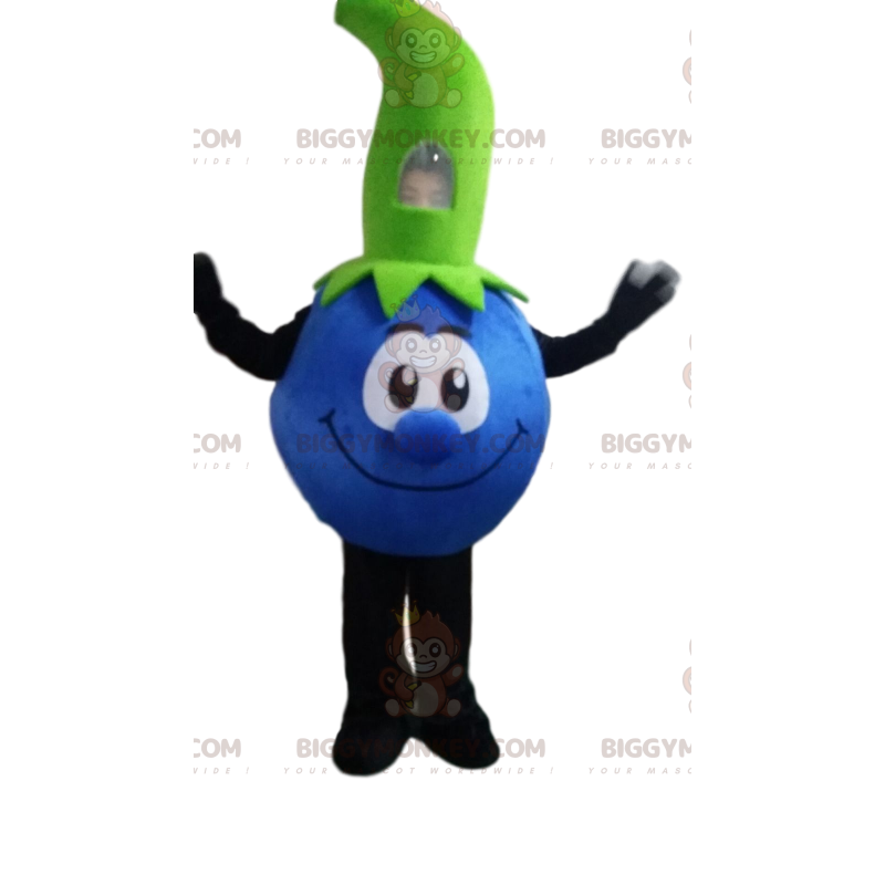 Costume da mascotte BIGGYMONKEY™ Blueberry, costume da frutta