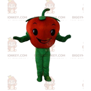 Tomaat BIGGYMONKEY™ mascottekostuum, groentekostuum, rood