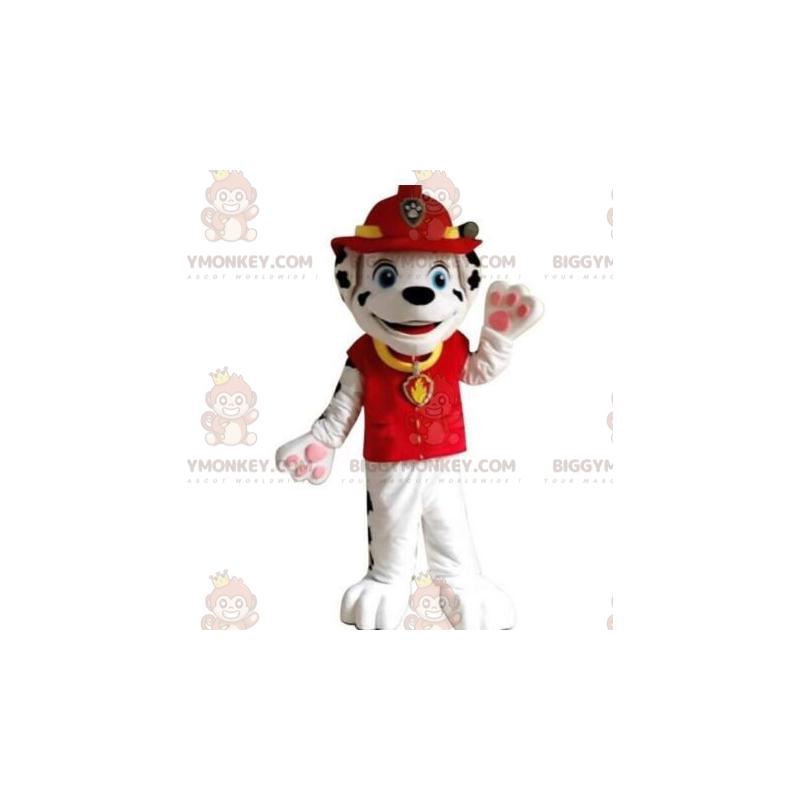 BIGGYMONKEY™ mascot costume of dalmatian dressed Sizes L (175-180CM)