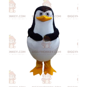 Kostým maskota tučňáka BIGGYMONKEY™ z filmu Tučňáci z