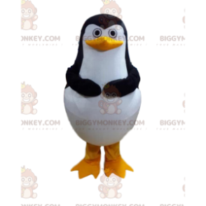 BIGGYMONKEY™ Penguin Mascot Costume from The Penguins of