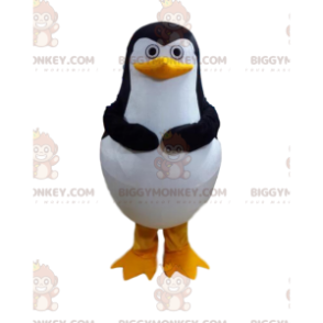 Kostium maskotki pingwina BIGGYMONKEY™ z filmu Pingwiny z