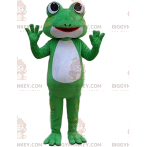 BIGGYMONKEY™ costume mascotte rana verde e bianca, costume