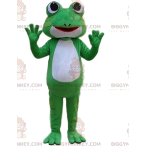 BIGGYMONKEY™ mascottekostuum groene en witte kikker