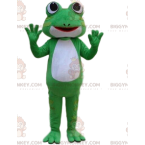 Kostium maskotki BIGGYMONKEY™ zielona i biała żaba, kostium