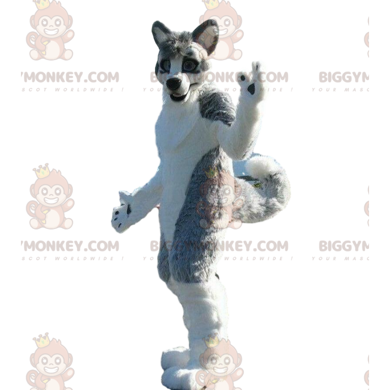 BIGGYMONKEY™ costume mascotte cane husky, costume cane grigio