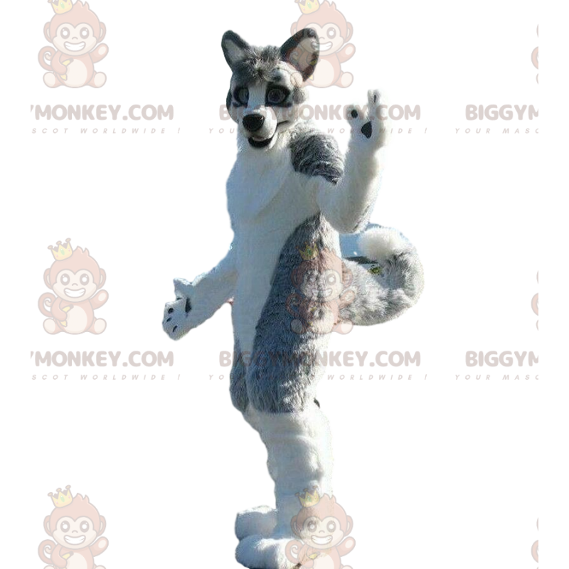 BIGGYMONKEY™ Maskottchenkostüm Husky-Hund, graues Hundekostüm