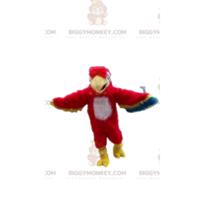 Papegaai BIGGYMONKEY™ mascottekostuum, papegaaikostuum