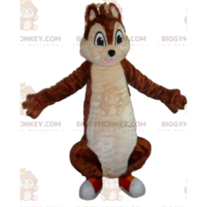 BIGGYMONKEY™ maskottiasu ruskea ja valkoinen orava, metsäpuku -