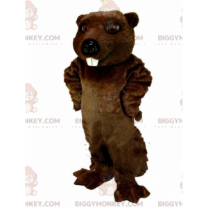 Brown beaver BIGGYMONKEY™ mascot costume, rodent costume, giant