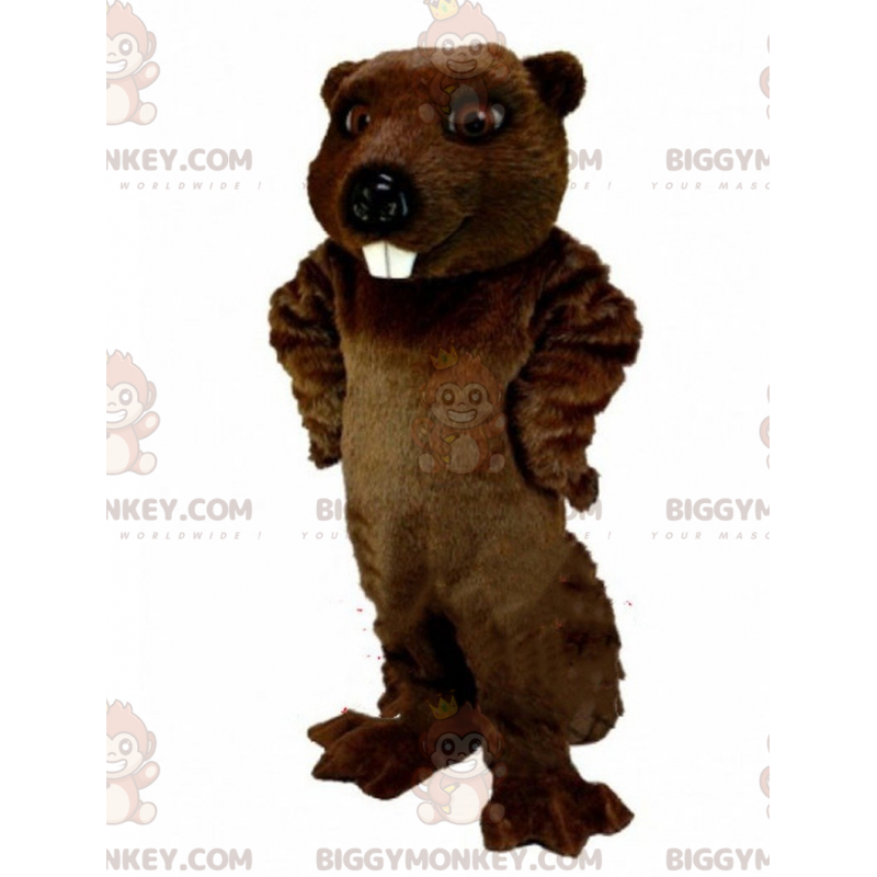 Traje de mascota de castor marrón BIGGYMONKEY™, traje de