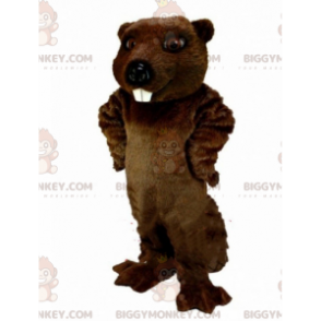 Costume de mascotte BIGGYMONKEY™ de castor marron, costume de