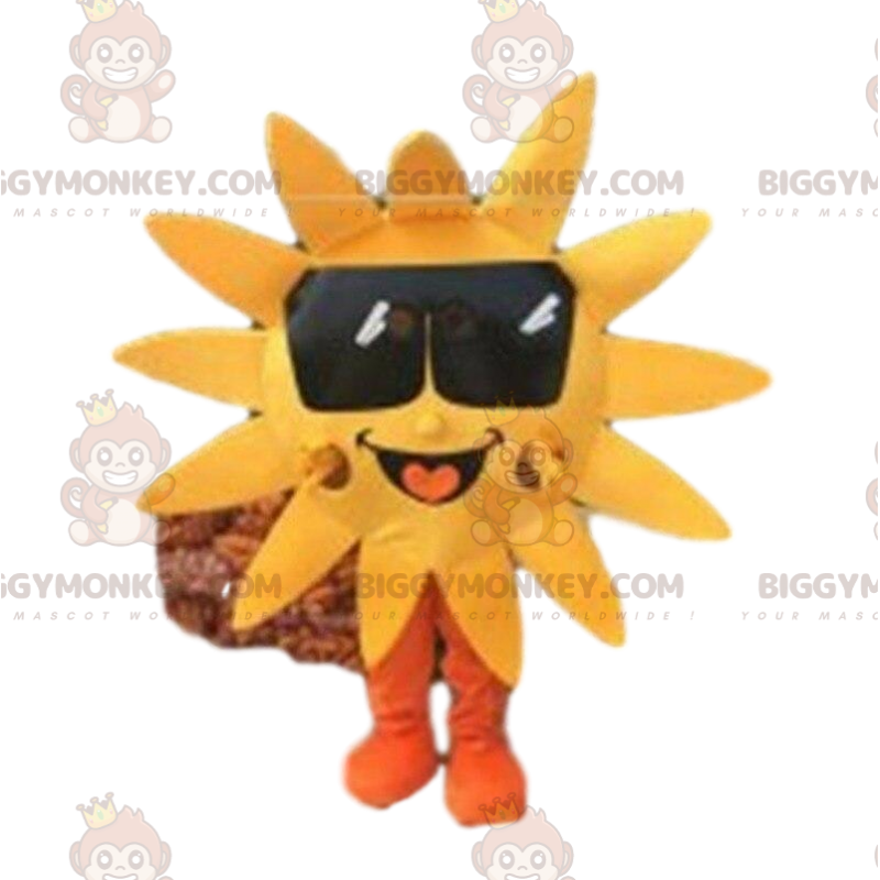 Kostým maskota Sun BIGGYMONKEY™ s tmavými brýlemi, kostým