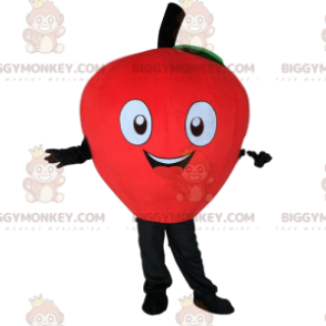 BIGGYMONKEY™-mascottekostuum Red Apple, Giant, Cherry Costume