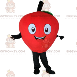 Traje de mascota BIGGYMONKEY™ Manzana roja, Gigante, Traje de