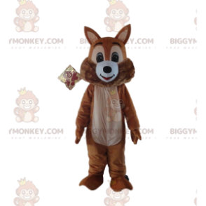Καφέ σκίουρος στολή μασκότ BIGGYMONKEY™, στολή δασικής έκτασης
