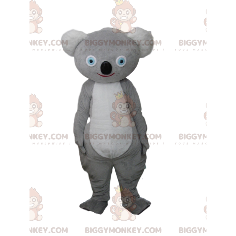Grå koala BIGGYMONKEY™ maskotkostume, australsk kostume