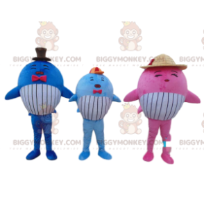 3 mascotes baleias coloridas do BIGGYMONKEY™, 3 peixes gigantes