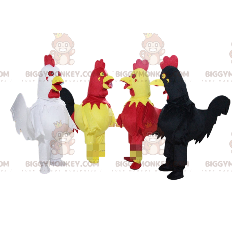 4 colorful roosters BIGGYMONKEY™s mascot, chickens