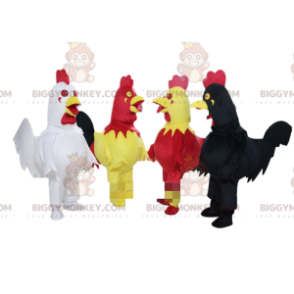 4 colorful roosters BIGGYMONKEY™s mascot, chickens