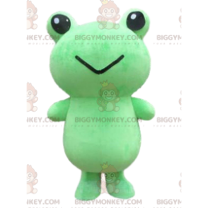 Costume de mascotte BIGGYMONKEY™ de grosse grenouille verte