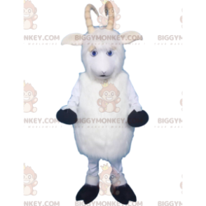Kostým maskota BIGGYMONKEY™ ovce, koza, bílý beran s rohy –