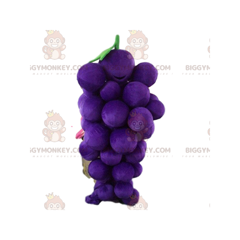 Στολή μασκότ BIGGYMONKEY™ Giant Bunch of Grapes, Στολή φρούτων