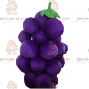 Costume de mascotte BIGGYMONKEY™ de grappe de raisin géante