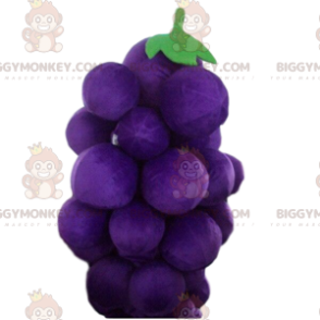 Riesige Weintraube BIGGYMONKEY™ Maskottchen-Kostüm, Obst-Kostüm