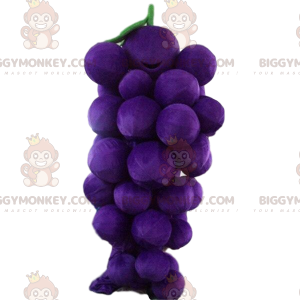 Costume de mascotte BIGGYMONKEY™ de grappe de raisin géante