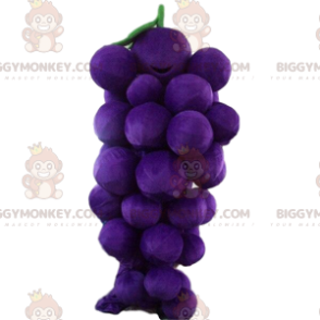 Jättiläinen viinirypäleterttu BIGGYMONKEY™ maskottiasu