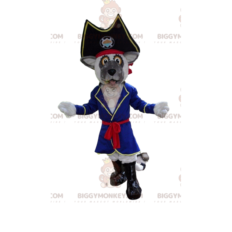 Pirate Grey Dog BIGGYMONKEY™ maskottiasu, Pirate Dog -asu -