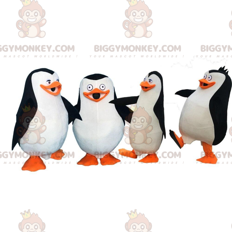 4 kreslené kostýmy s maskoty tučňáků z Madagaskaru od