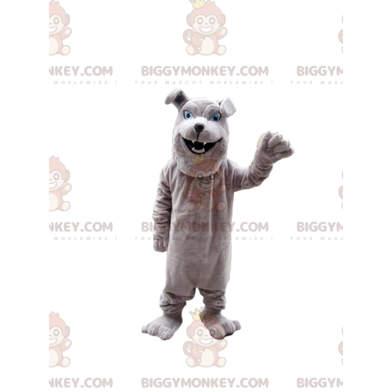 Gray bulldog BIGGYMONKEY™ mascot costume, purebred dog costume