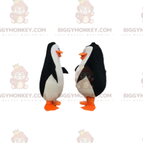 2 pinguini del cartone animato "Penguins of Madagascar" -