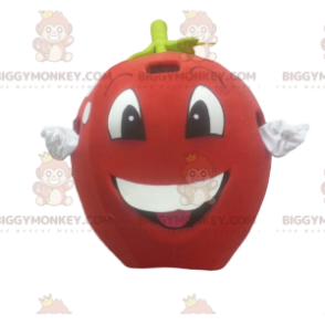 BIGGYMONKEY™ Mascot Costume Red Apple, Giant, Cherry Costume