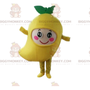 Costume da mascotte Mango gigante BIGGYMONKEY™, costume da