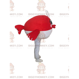 BIGGYMONKEY™ costume da mascotte pesce rosso e pesce bianco