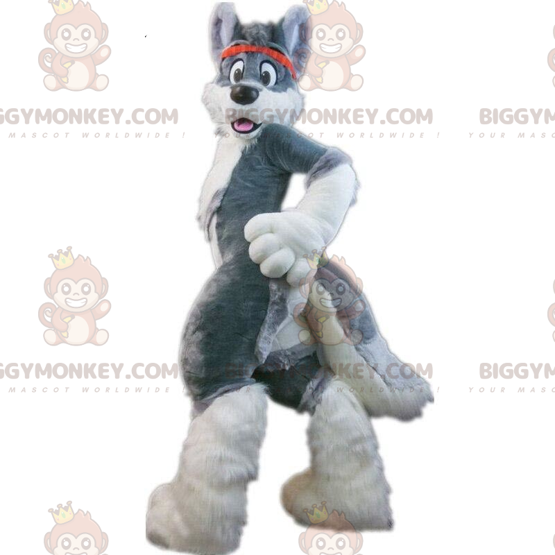 BIGGYMONKEY™ maskotdräkt grå huskyhund, lurvig hunddräkt, räv -