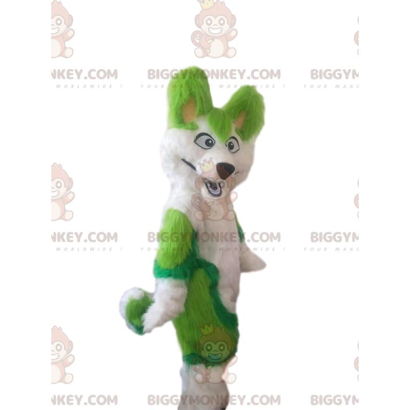 BIGGYMONKEY™ costume mascotte cane husky bianco e verde