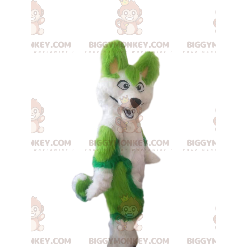 BIGGYMONKEY™ mascotte kostuum witte en groene husky hond