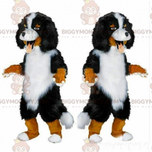 Berner Sennenhund BIGGYMONKEY™ Maskottchen-Kostüm