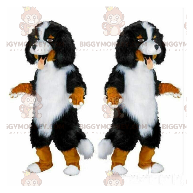 Bernese Mountain Dog BIGGYMONKEY™ Mascot Costume, Purebred Dog