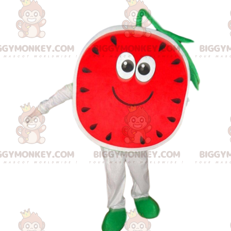 BIGGYMONKEY™ giant watermelon mascot costume, exotic fruit