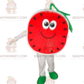 BIGGYMONKEY™ costume mascotte anguria gigante, costume frutta