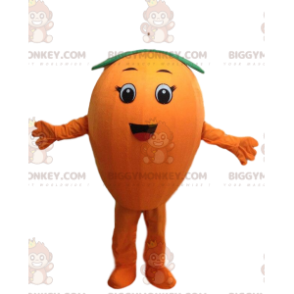 Στολή μασκότ BIGGYMONKEY™ Giant Orange, Στρογγυλή στολή