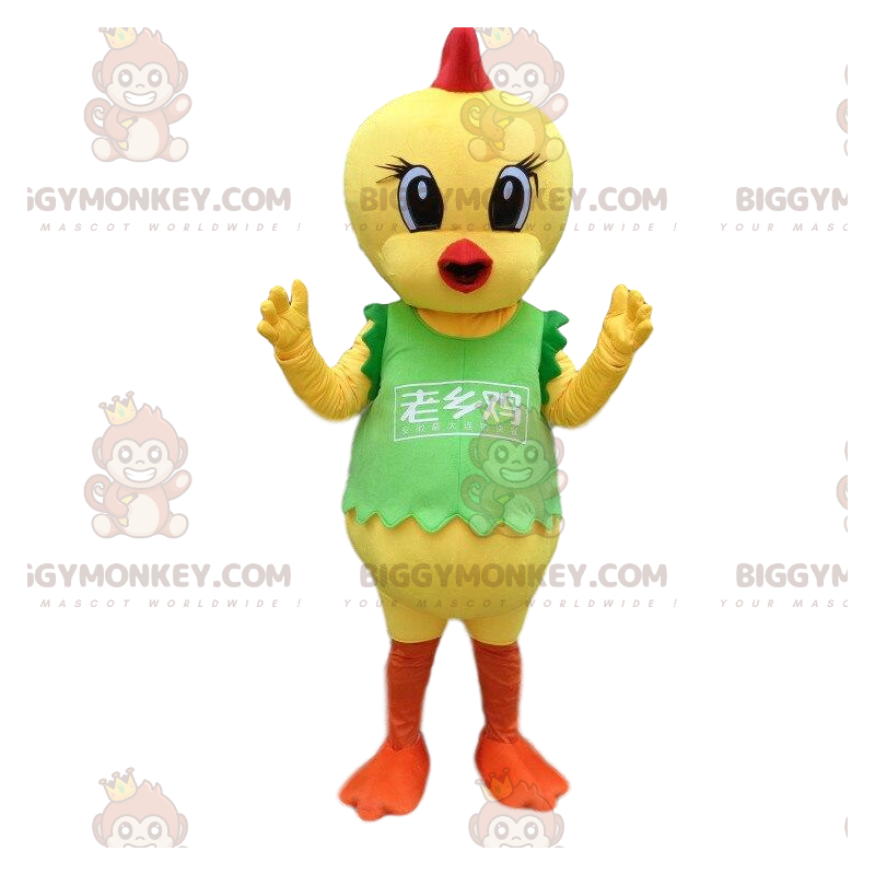 Bird BIGGYMONKEY™ mascot costume, canary costume, chick fancy