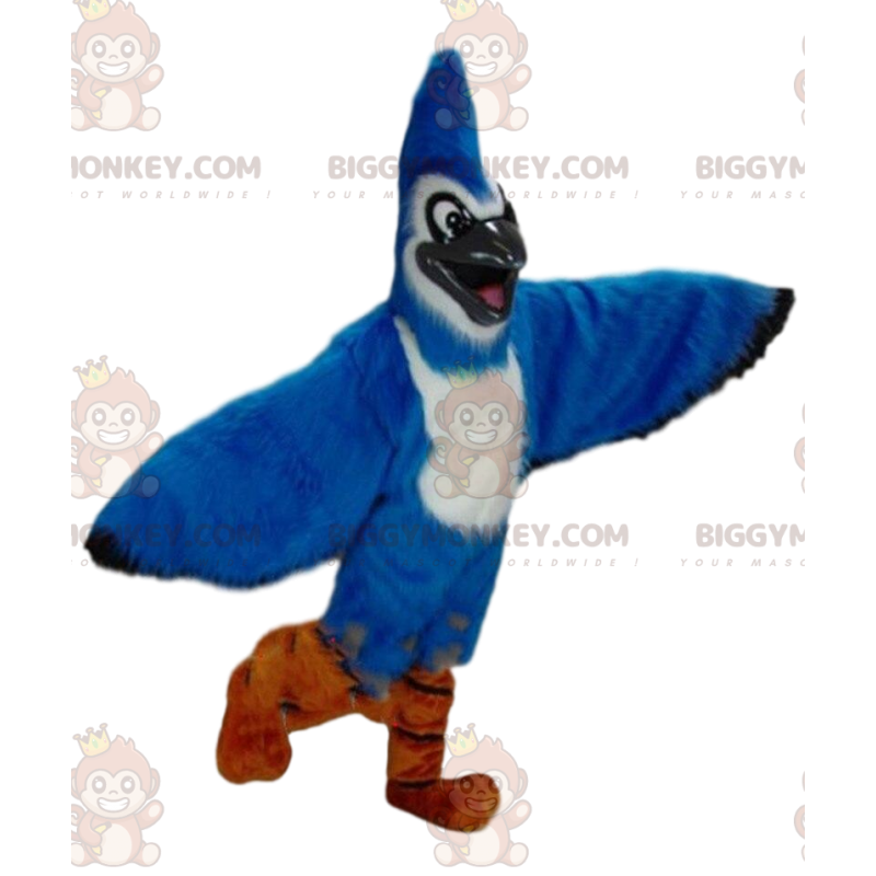 Blue Jay BIGGYMONKEY™ mascottekostuum, blauw en wit