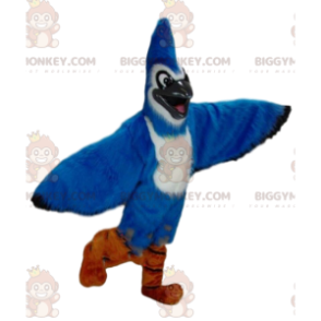 Blue Jay BIGGYMONKEY™ maskotdräkt, blå och vit fågeldräkt -